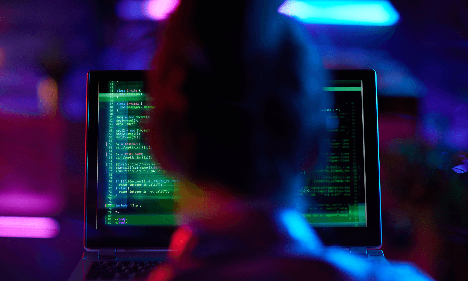 Web & Network Pentesting Professional